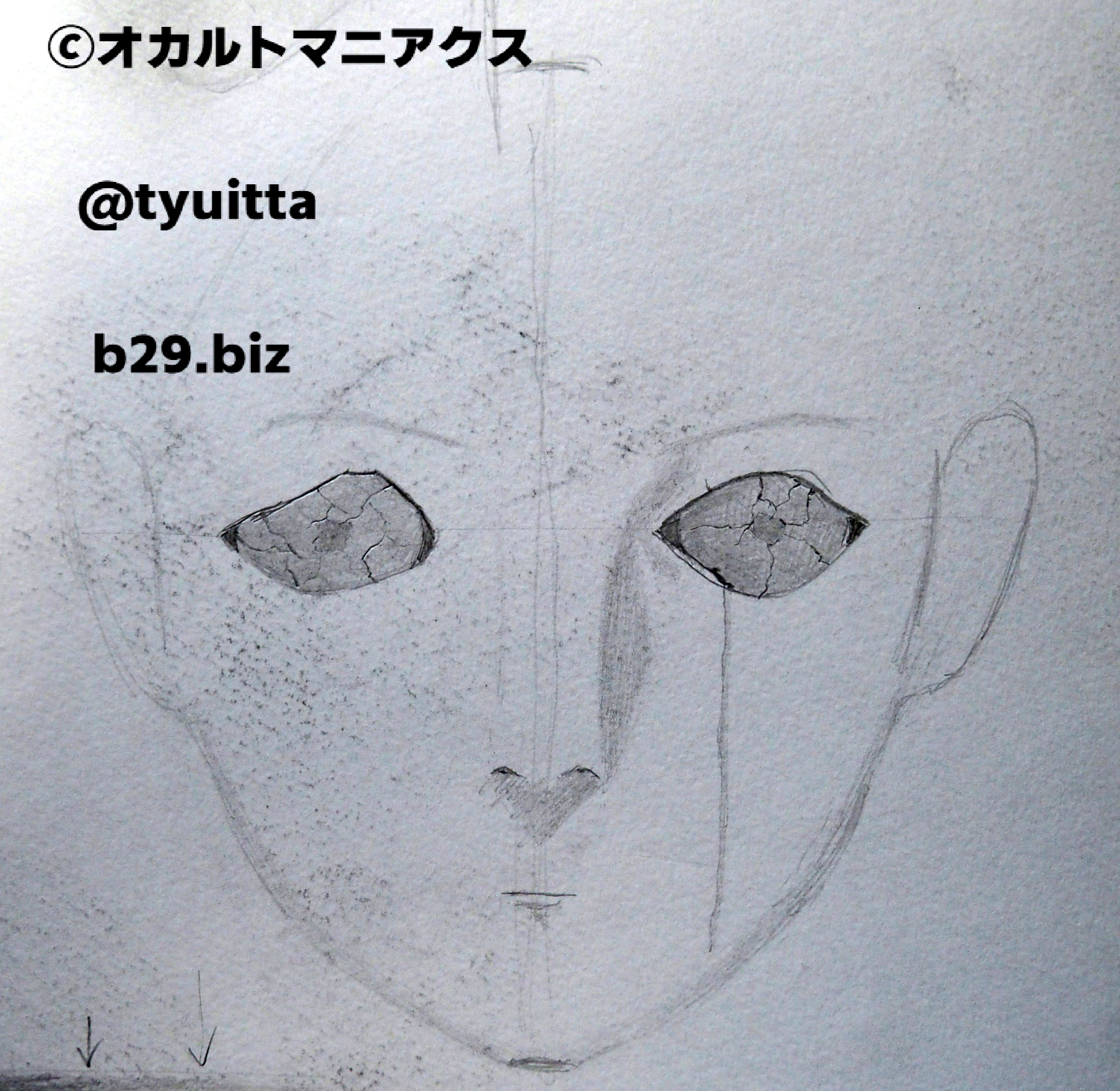 未来人の写真 2062年